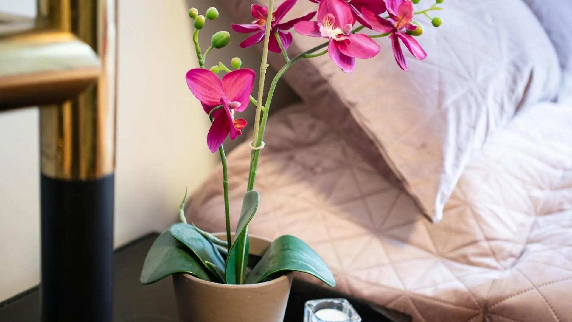 Stylish Studio Apartment In The Heart Of Budapest 0*,