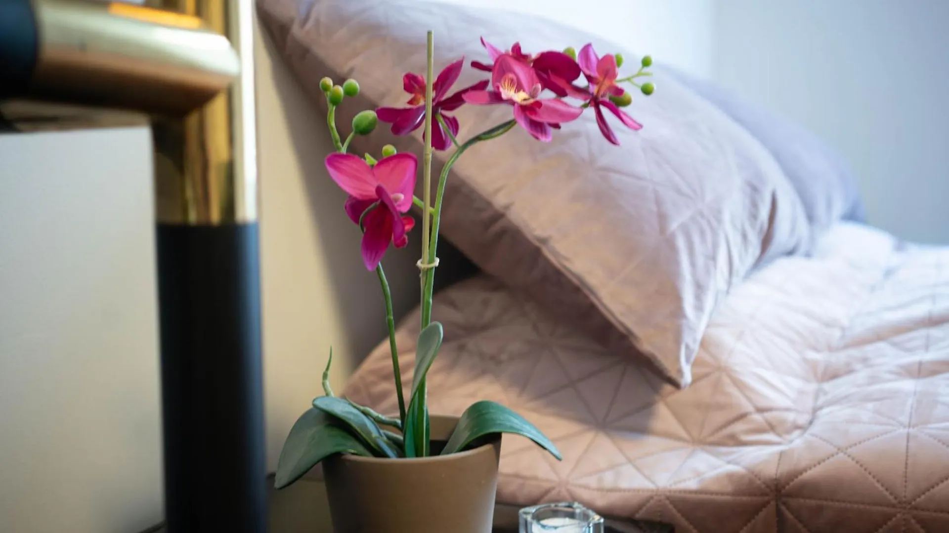 Stylish Studio Apartment In The Heart Of Boedapest